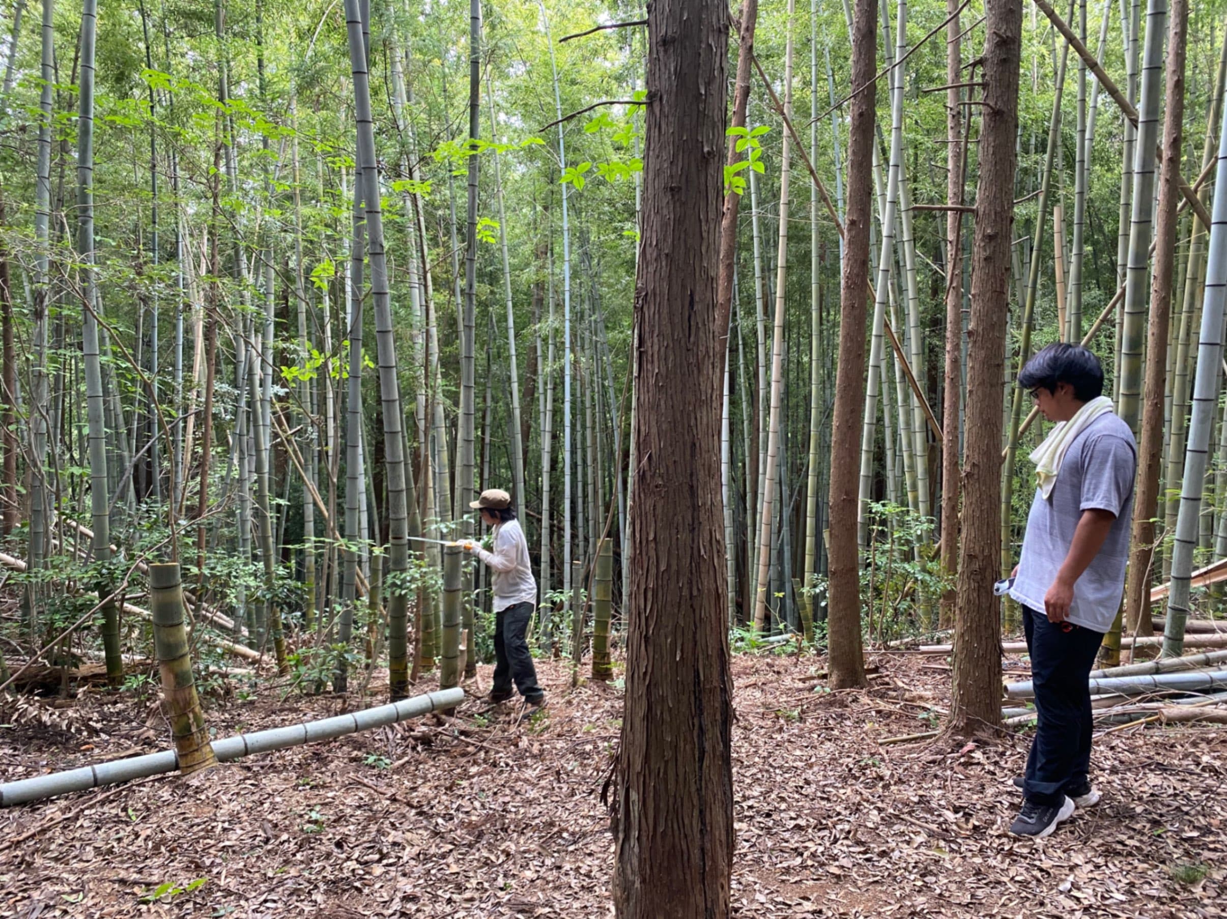 野外研究活動部